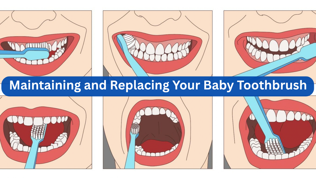 Maintaining and Replacing Your Baby Toothbrush